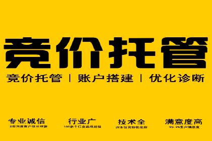 SEM代理服务：提升广告投放效果